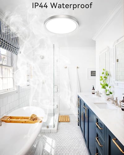 LED Ceiling Light Brushed Nickel