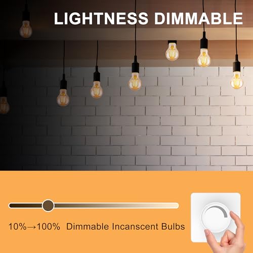Warm Incandescent Light Bulbs 60 Watt (12 Count)