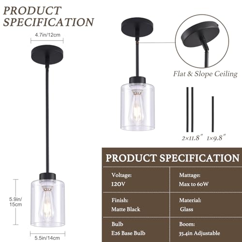 Pendant Lamp with Glass Shade