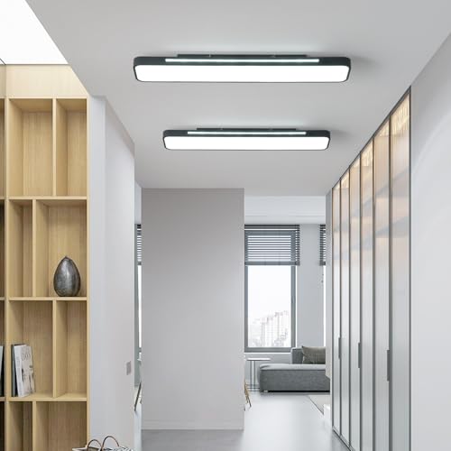 Modern LED Ceiling Light