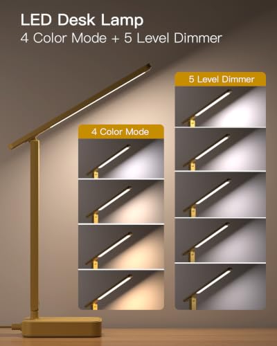 LED Desk Lamp