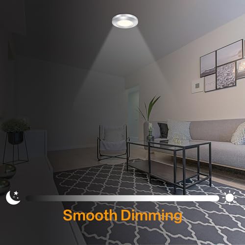 5.5 Inch Dimmable LED Disk Light (2 Count)