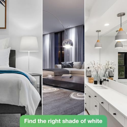 A19 LED Light Bulbs (6 Count)