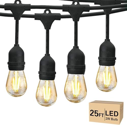 25 FT Outdoor String Lights LED 2W S14 Commercial Grade Waterproof (25 Foot)