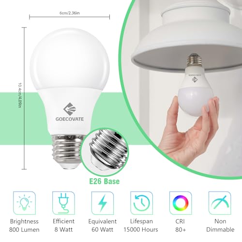 6 Pack A19 Light Bulbs Daylight 5000K 60 Watt Equivalent Led Light Bulb (6 Count)