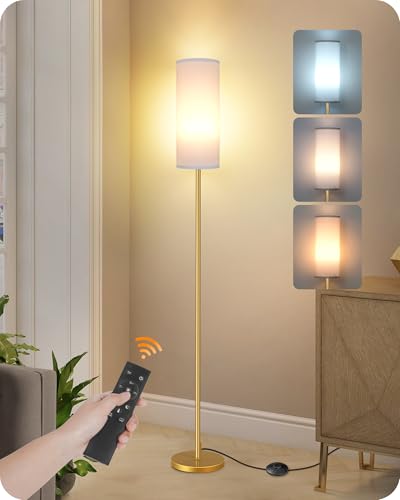 Dimmable Floor Lamp for Living Room with Remote and Foot Switch
