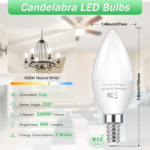 E12 LED Bulbs (12 Count)