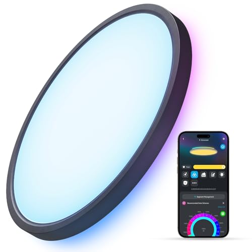 Smart Ceiling Light