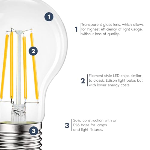 Vintage A19 LED Light Bulbs 100W Equivalent (2 Count)