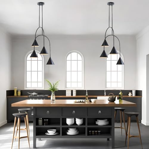 Matte Black Industrial Pendant Light Fixture
