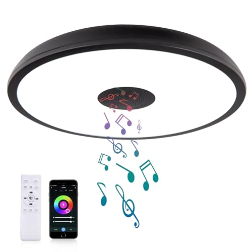 Black Smart Waterproof LED Flush Mount Ceiling Light Fixture