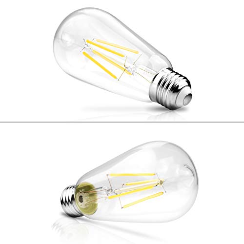 LED Edison Bulbs 6W (4 Count)