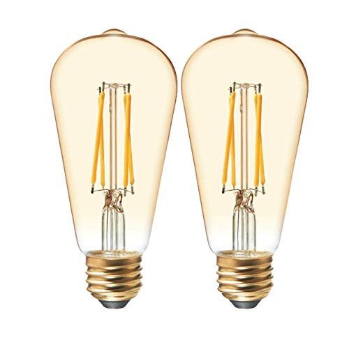 Lighting Vintage Edison Style LED Light Bulbs (2 Count)