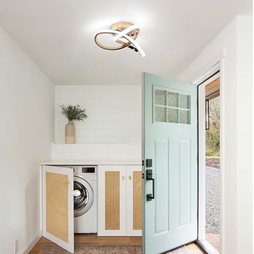 Modern LED Ceiling Light