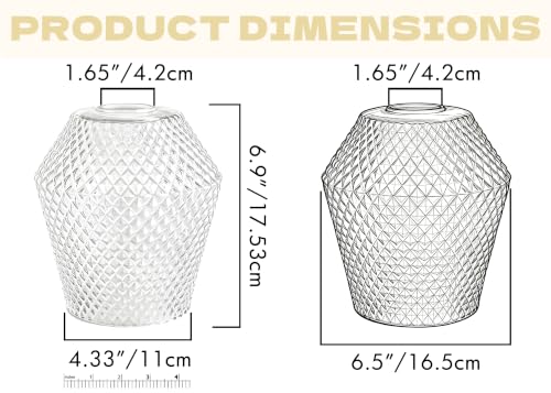 2Pcs Small Glass Lamp Shades (2 Count)