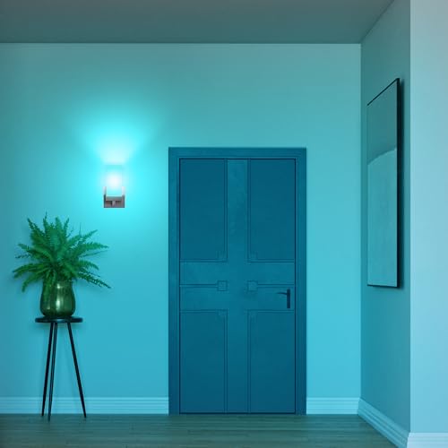 Smart Light Bulbs