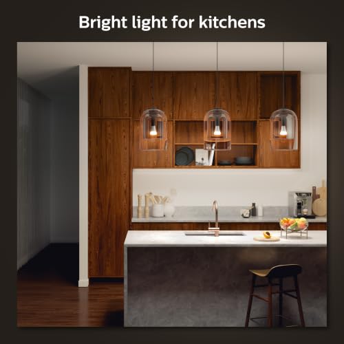 Smart 100W A21 LED Bulb