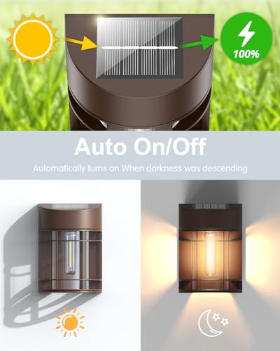 Solar Lights Outdoor (12 Count)