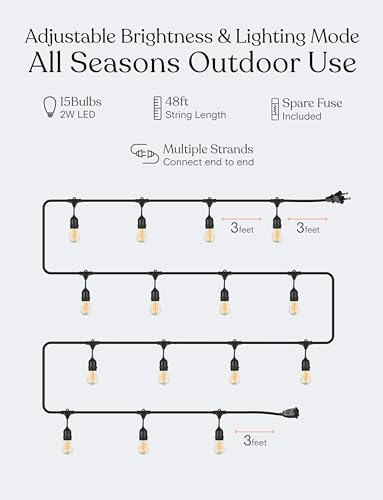 Ambience Pro Waterproof LED Outdoor String Lights (48 Foot)