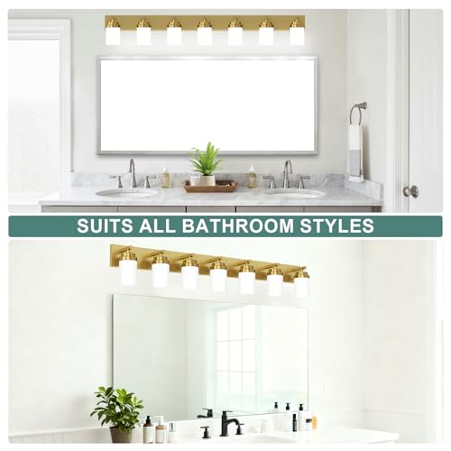 Bathroom Vanity Light Fixture