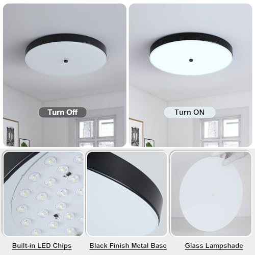 2 Pack Black Flush Mount Ceiling Light (2 Pack)