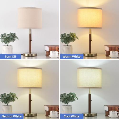 Table Lamp Set of 2 Modern Bedside Buffet Table Lamp with Pull Chain (2 Count)