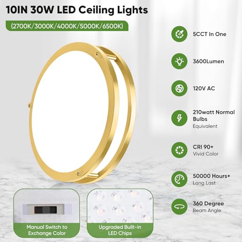 10 Inch LED Flush Mount Ceiling Lights (2 Count)