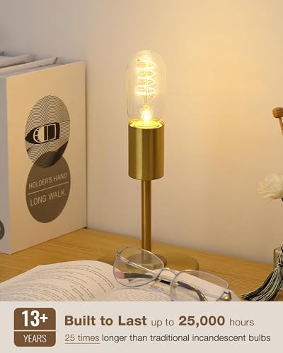 T45 Soft White Edison Bulbs (4 Count)