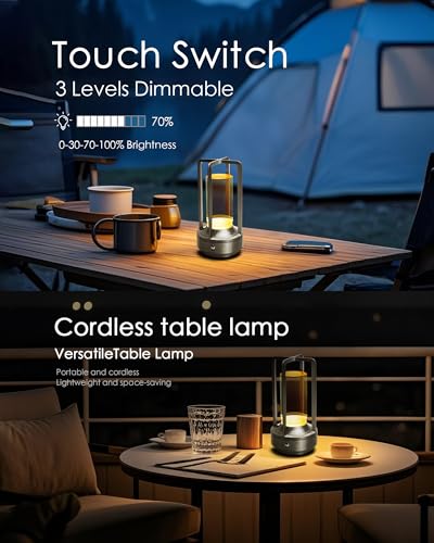 Set of 2 Cordless Table Lamps Rechargeable Desk Lamps Silver (2 Count)