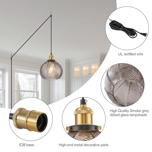 Modern Plug in Hanging Light