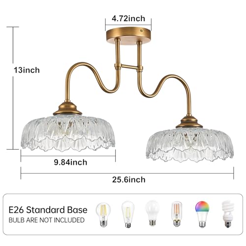 Glass Chandelier Ceiling Pendant Lighting Fixture 2 Lights Hanging Lamp for Bedroom Living Room Mater Room Hallway