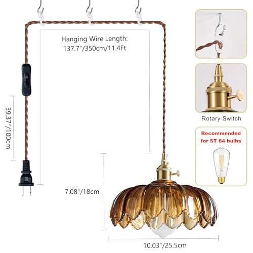 Plug in Pendant Light