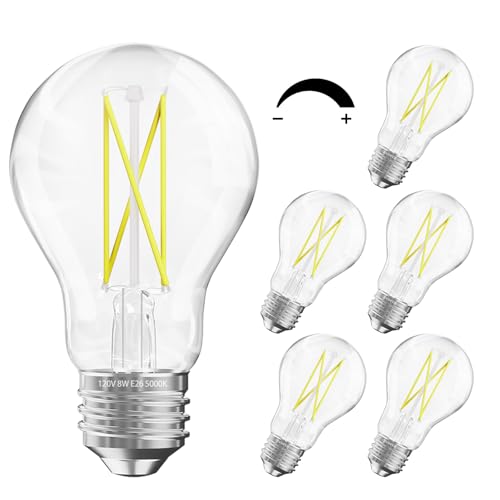 6 Pack A19 Vintage LED Edison Bulbs (6 Count)