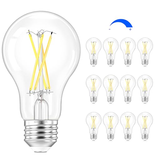 A19 Vintage LED Edison Light Bulbs (12 Count)