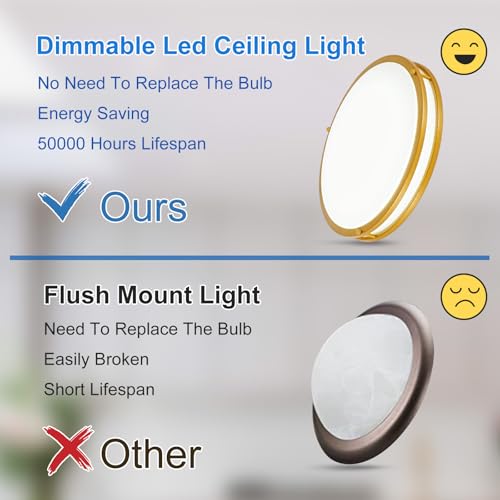 DLLT Flush Mount LED Ceiling Light