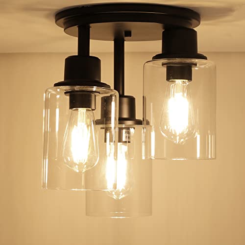 Semi Flush Mount Ceiling Light