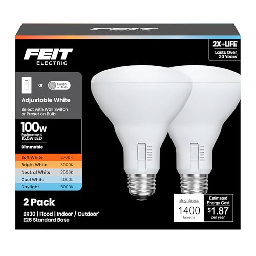 BR30 LED Light Bulbs (2 Count)