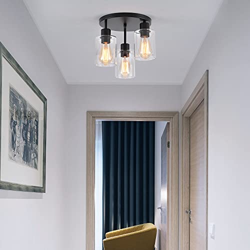 3 Light Industrial Farmhouse Black Matte Light Fixtures Ceiling Mount (3 Count)