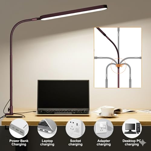 LED Desk Lamp
