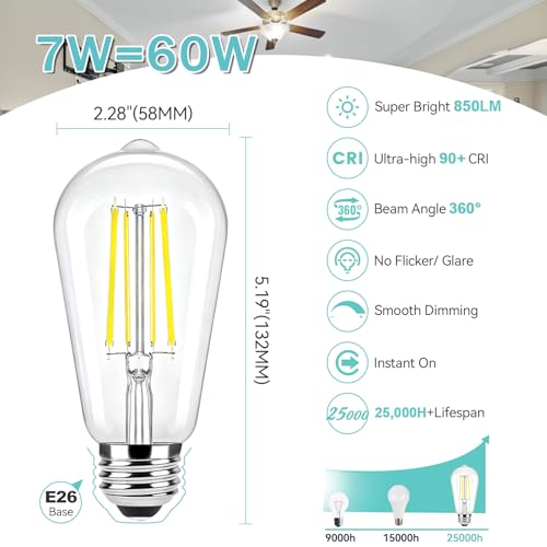 10 Pack Edison Bulbs 60W Equivalent (10 Count)