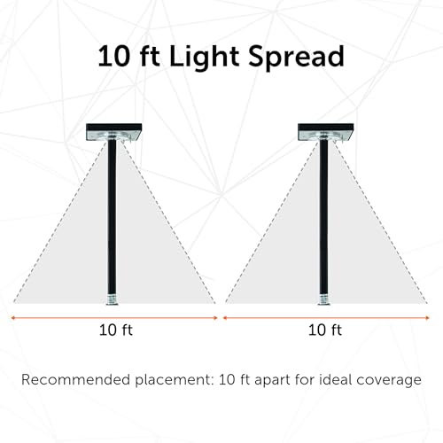 Contemporary Black Square Solar Garden Light (2 Count)