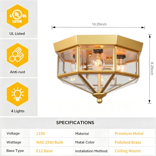 Flush Mount Outdoor Ceiling Light Fixture