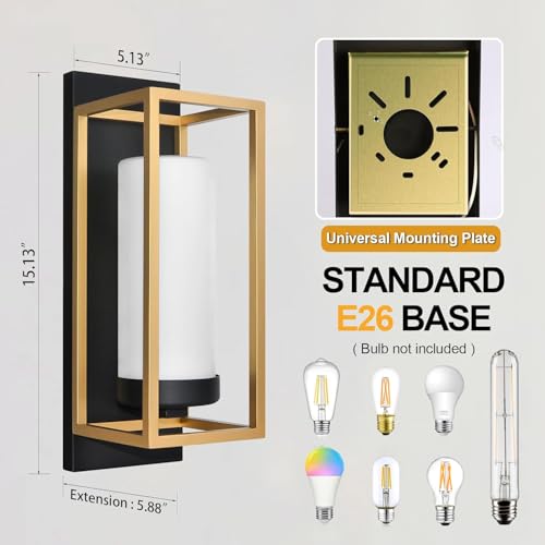 ALVIME Black and Gold Wall Sconce