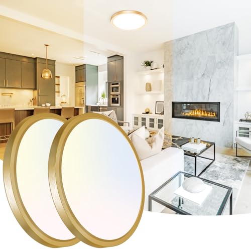 12 Inch LED Ceiling Light Gold (2 Count)