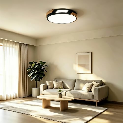 Modern LED Ceiling Light