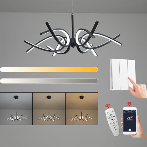 Modern LED Ceiling Light Fixture