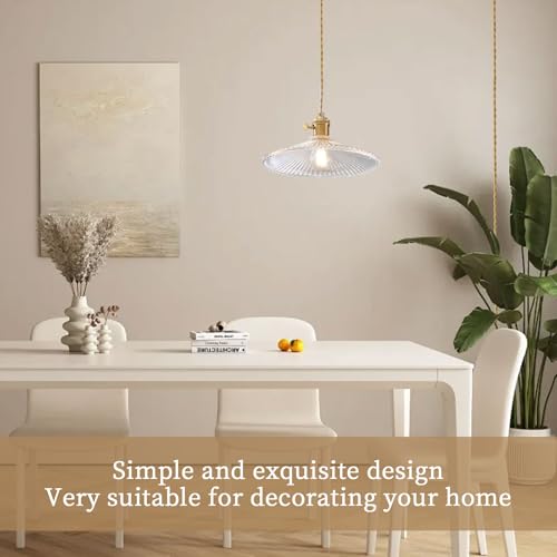 Hanging Lights with Plug in Cord