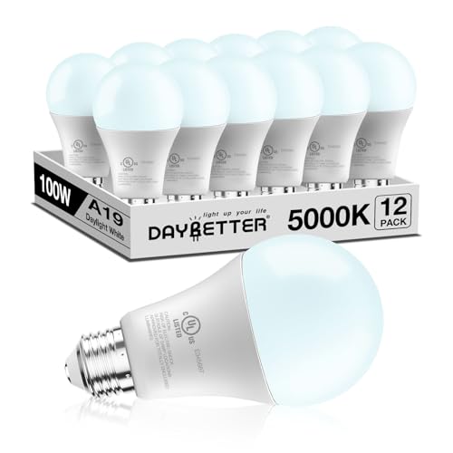 LED Light Bulbs (12 Count)