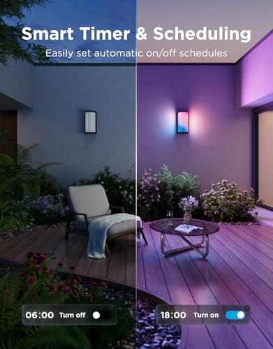 Outdoor Wall Light Pro (2 Count)