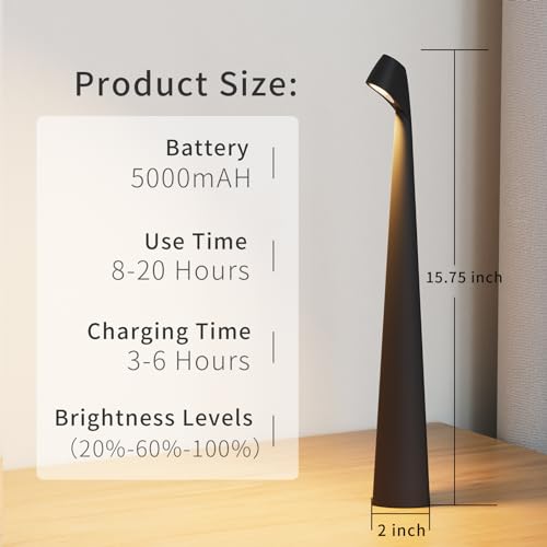 Cordless Rechargeable Reading Metal Table Lamp